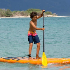 PAGAIE FANATIC RIPPER CARBON 25 VARIO 6.5 -Nautica Aventure pagaie fanatic ripper carbon 25 vario 65 3